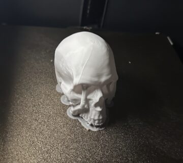 IMG 0500 360x320